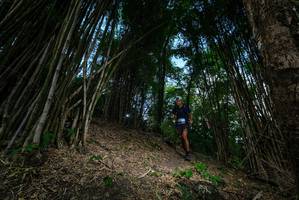 BIB: 
                            <button type="button" onclick="openModal(19395415)" class="btn btn-primary btn-sm float-right btn-popup" data-toggle="modal" data-target=".modal-high-quality">
                        <i class="fas fa-shopping-cart"></i> Add to Cart
                    </button>
                                            <button type="button" onclick="isThisMe(19395415, true)" class="btn btn-success btn-sm float-right btn-popup btn-isme hidden" data-toggle="tooltip" data-placement="bottom" title="นี่คือรูปของคุณใช่ไหม คลิกที่นี่เพื่อเอาเข้าอัลบั้ม">
                        <i class="fas fa-plus"></i> Add to album
                    </button>
                    <button type="button" onclick="isThisMe(19395415, false)" class="btn btn-warning btn-sm float-right btn-popup btn-isnotme hidden">
                        <i class="fas fa-ban"></i> Remove from album
                    </button>